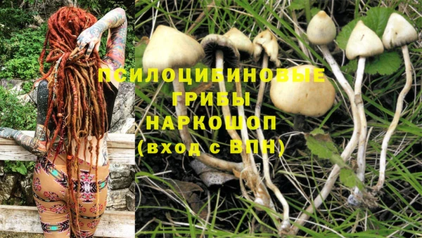 кокаин Арсеньев